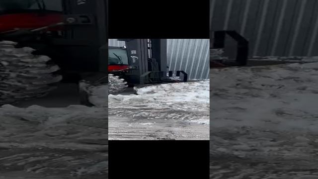 1000039526.mp4