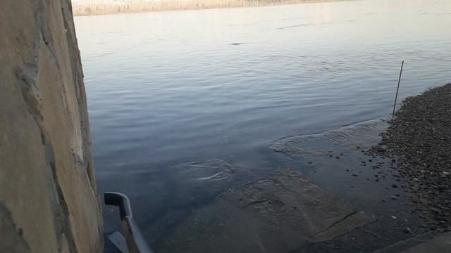Хариус на "Деревяшку". Рыбалка в городе (набережная за ТЦ). Осень, 2021.