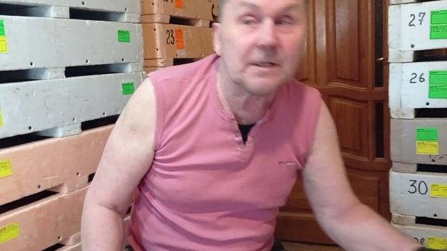 Триходерма. Борьба с гибелью червя. Часть 2.