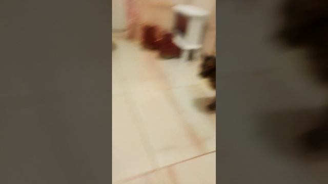 Пора свою футбольную команду открывать. Победы обеспечены