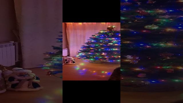 VID_20241231_195721.mp4