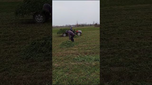 VID-20241208-WA0001.mp4