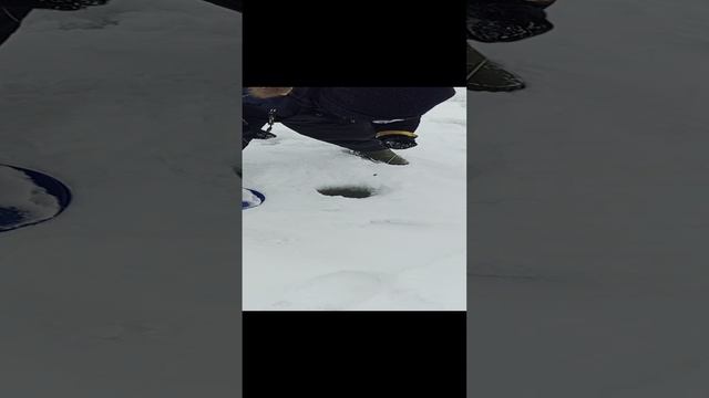 1000023955.mp4