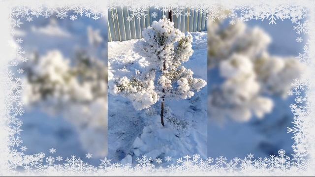 Зимний Аркаим в моменте!;)