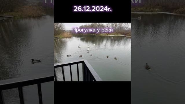 1000088782.mp4