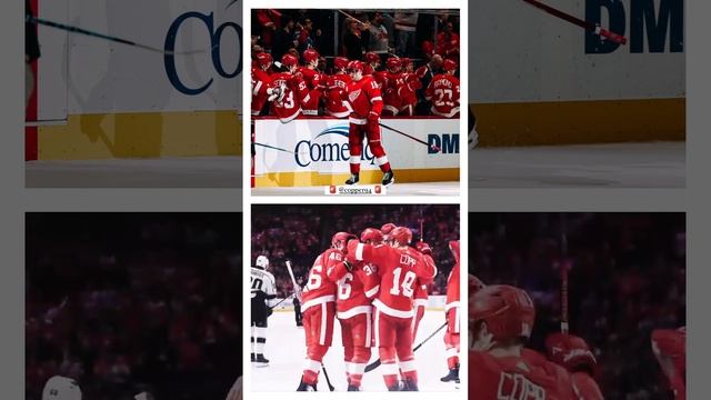 video (15)