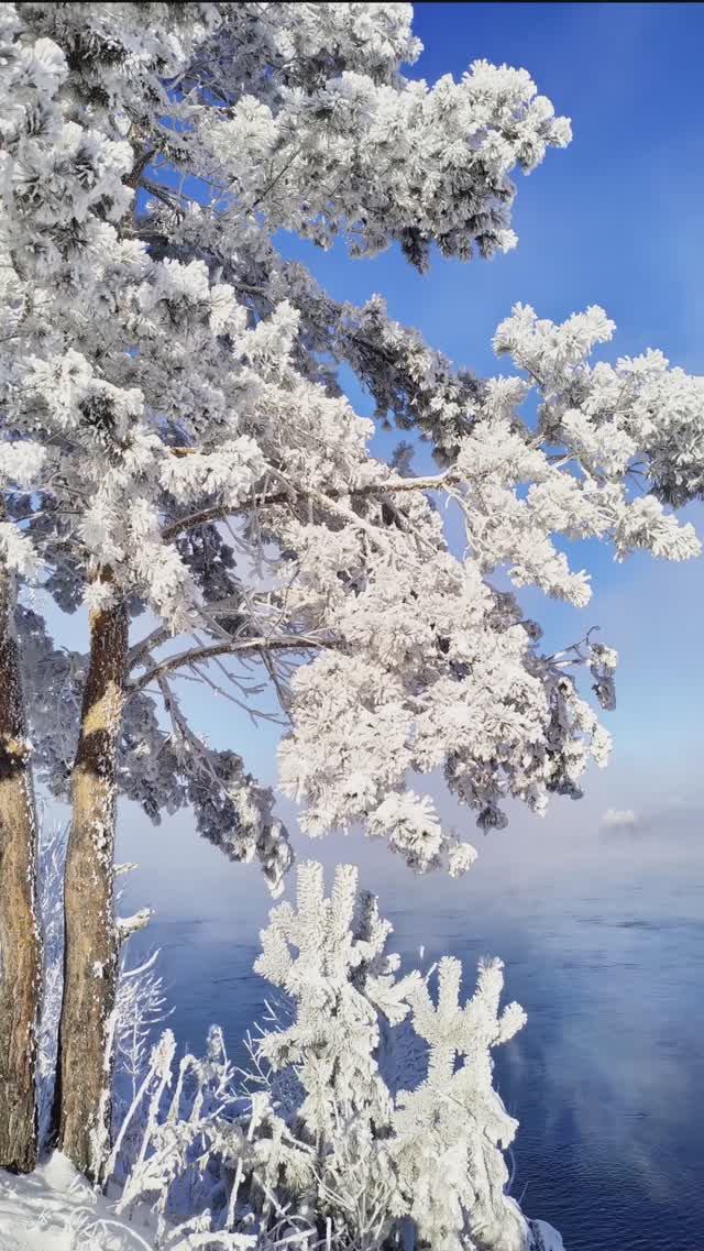 Красивый город Иркутск в куржаке 1 января.