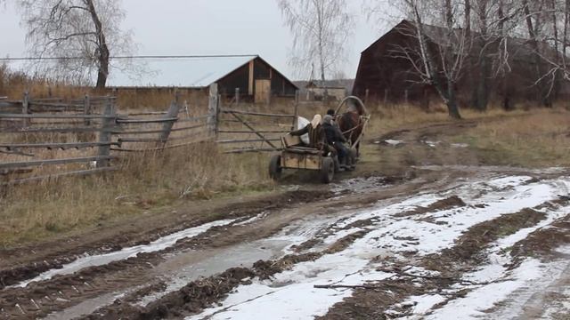 Экспедиция в с.Богословку. Томская область. Съёмки Липовка Светланы