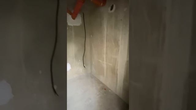 квартиры на юге