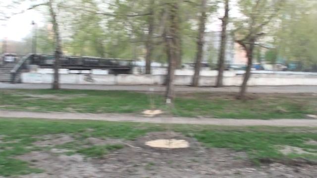 Меланжевый (Изумрудный)  парк. г.Барнаул.