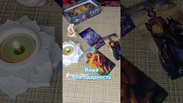 Ваша благодарность🥰