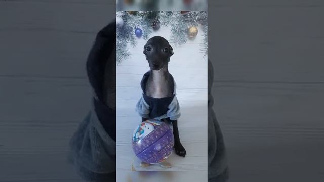 1000018951.mp4