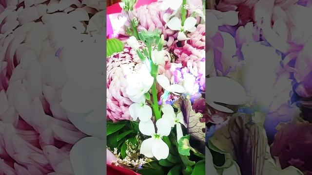 скоро,скоро все случится..#новый год#2014#2025