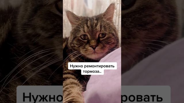 А ещё страховка просроченная 🥲