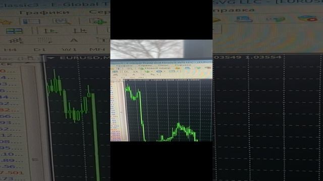 Time Frame in terminal BstTraderintheworld 
#shorts