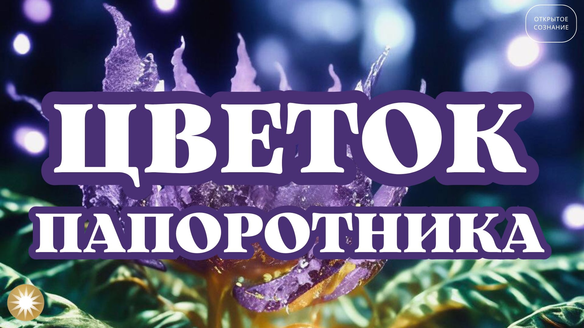 Цветок папоротника