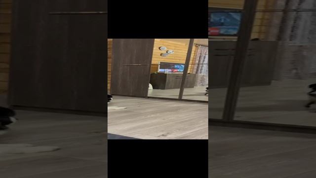 Бордер Колли увидел себя в зеркало _ смешное видео)