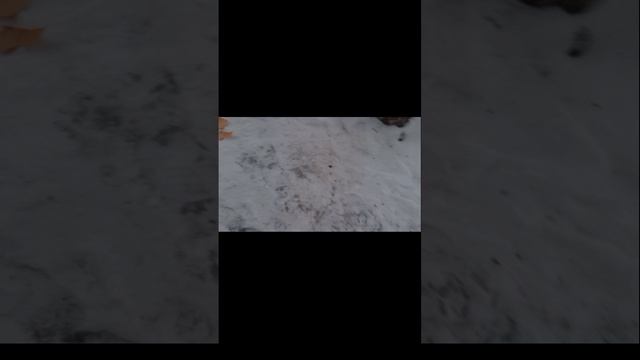 сериал МОМО 3 сезон 3 серия финал