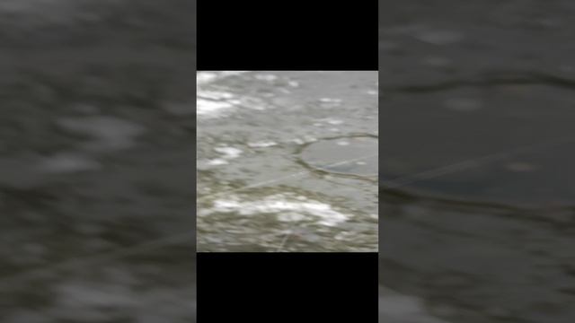 Зимняя рыбалка окунь из-подо льда.