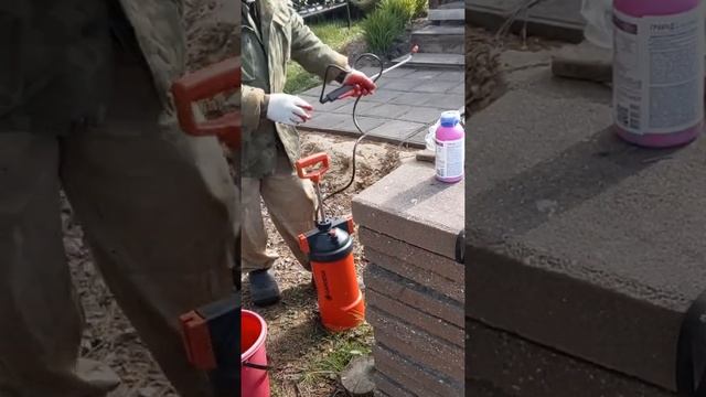 БОРЬБА С СОРНЯКАМИ ЗА МИНУТУ ЧАСТЬ 1