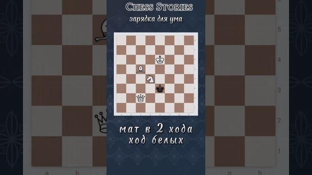 Задача для ума #chess #stories #задачи #шахматы #shorts