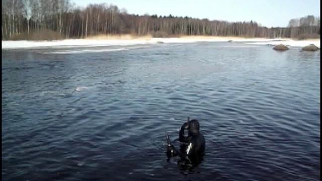 Подводная Охота  у Сергея Первый Раз под Выборгом - 2013