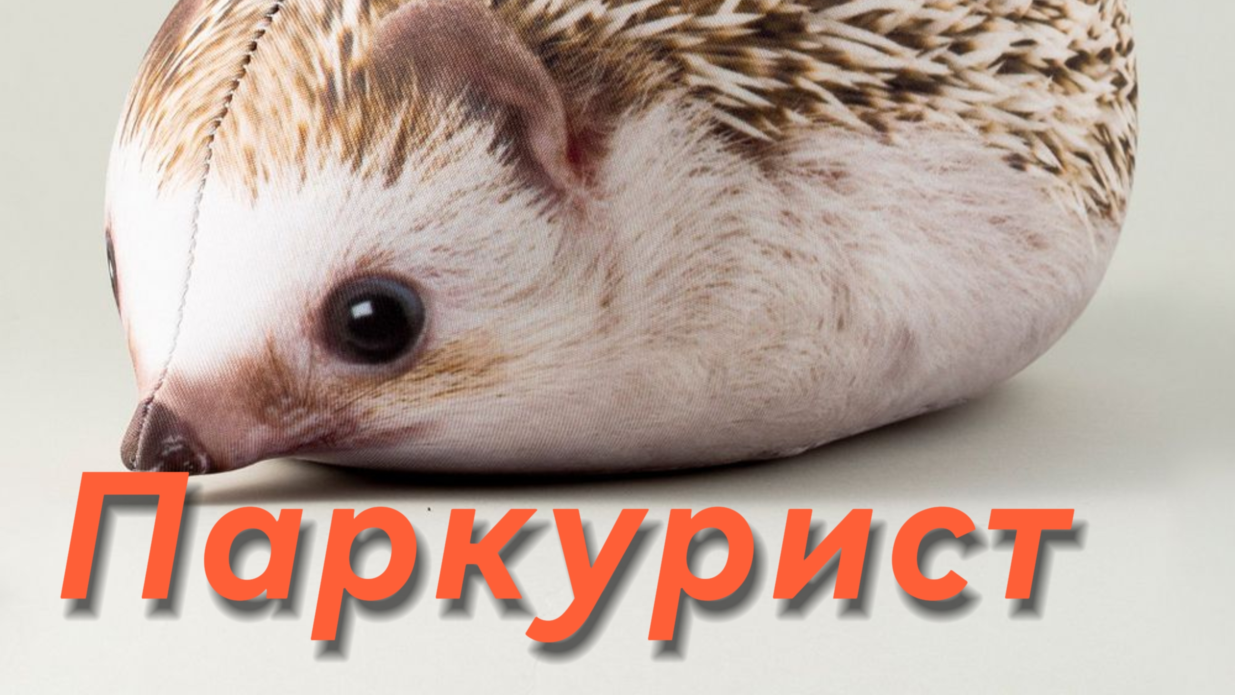 Чо то мяукнуло-Хренобус Паркурист