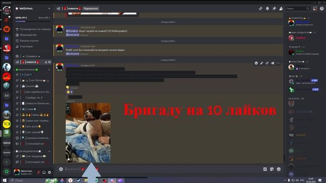 Бригада на 10 Лайков