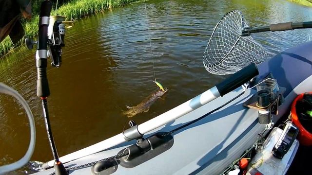 И лещ, и щука... Видео-"соляночка"