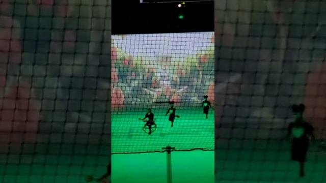 Алиса в стране чудес