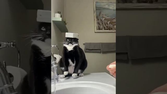 1000070169.mp4