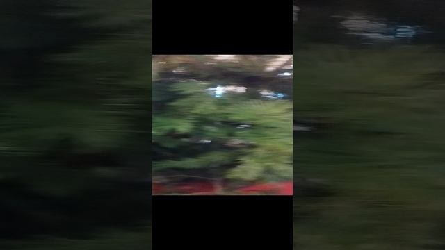 Новогодняя Москва.mp4