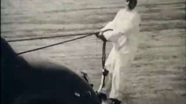 Автомобильные трюки 1930-х годов (auto performance)