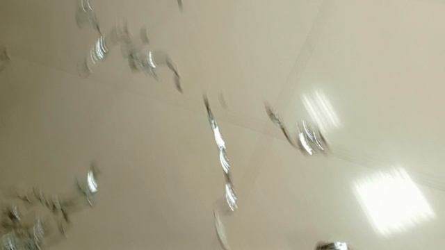 1000017833.mp4