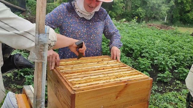 Знакомство с пасекой в Потеряевке