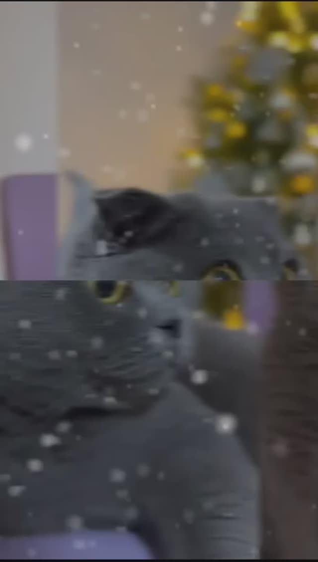 С Новым Годом!  Счастливого всем Нового 2025 года!