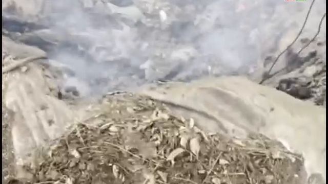 Жизнь боевиков Зеленского коротка и бессмысленна. Вот и в очередной раз новая пачка последователе...