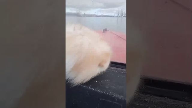 1000017188.mp4