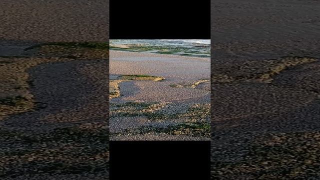 VID_20240919_182909~2.mp4