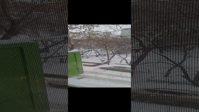 Грызу сухарик,надо кормить птичек!!!!