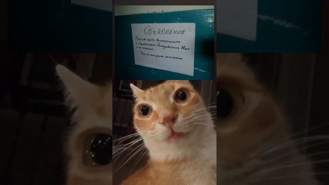 Будь внимателен!