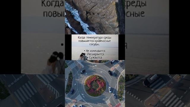 задачи