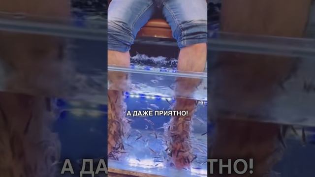 🐠 РЫБКИ-ДОКТОРА: НЕОБЫЧНЫЙ МАССАЖ В ТАИЛАНДЕ! | #shorts