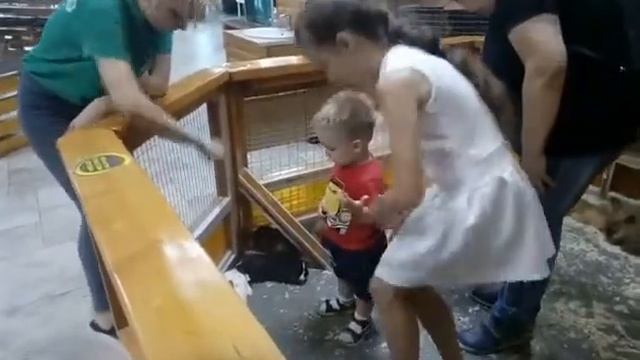 Зоопарк# Гринн.mp4