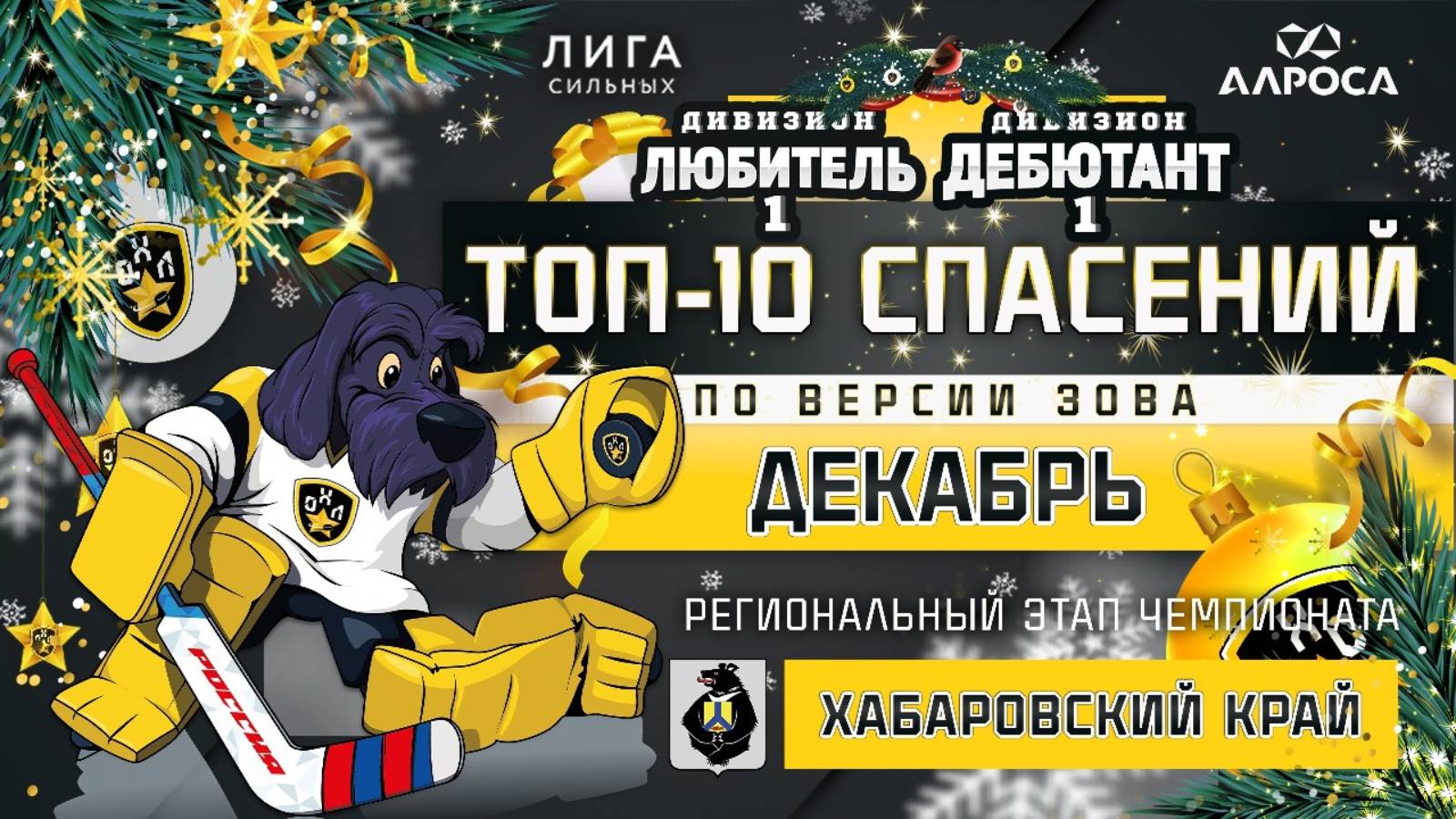 ТОП-10 СПАСЕНИЙ / ДЕКАБРЬ / ХАБАРОВСК / СЕЗОН 2024-2025 / ЛЮБИТЕЛЬ 1 / ДЕБЮТАНТ 1