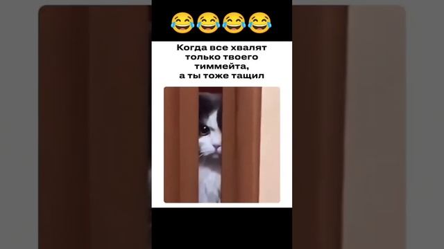 Ставь Like ❤️ Если у тебя так же😂 "Подпишись пожалуйста 🥺"