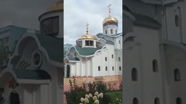 1000000251.mp4