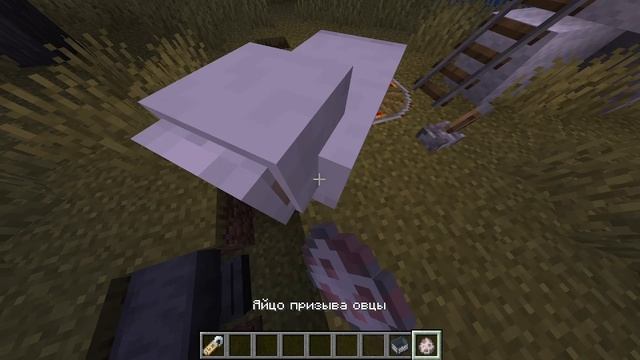 Белка ты ли это?#мем