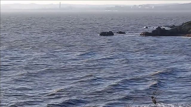 Керчь.Берег, море районе парка Приморский 02.01.25