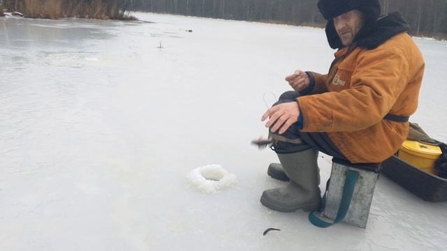 РАЗДАЧА ОКУНЕЙ!!! / ЖЕРЛИЦЫ МОЛЧАТ